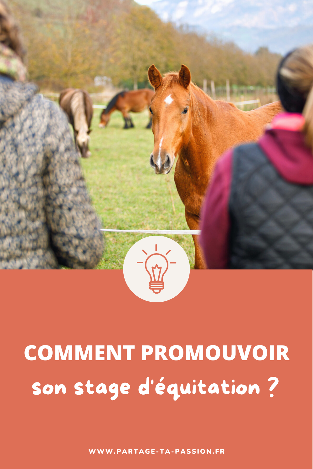 épingle pinterest, enregistre l'article comment promouvoir son stage d'équitation