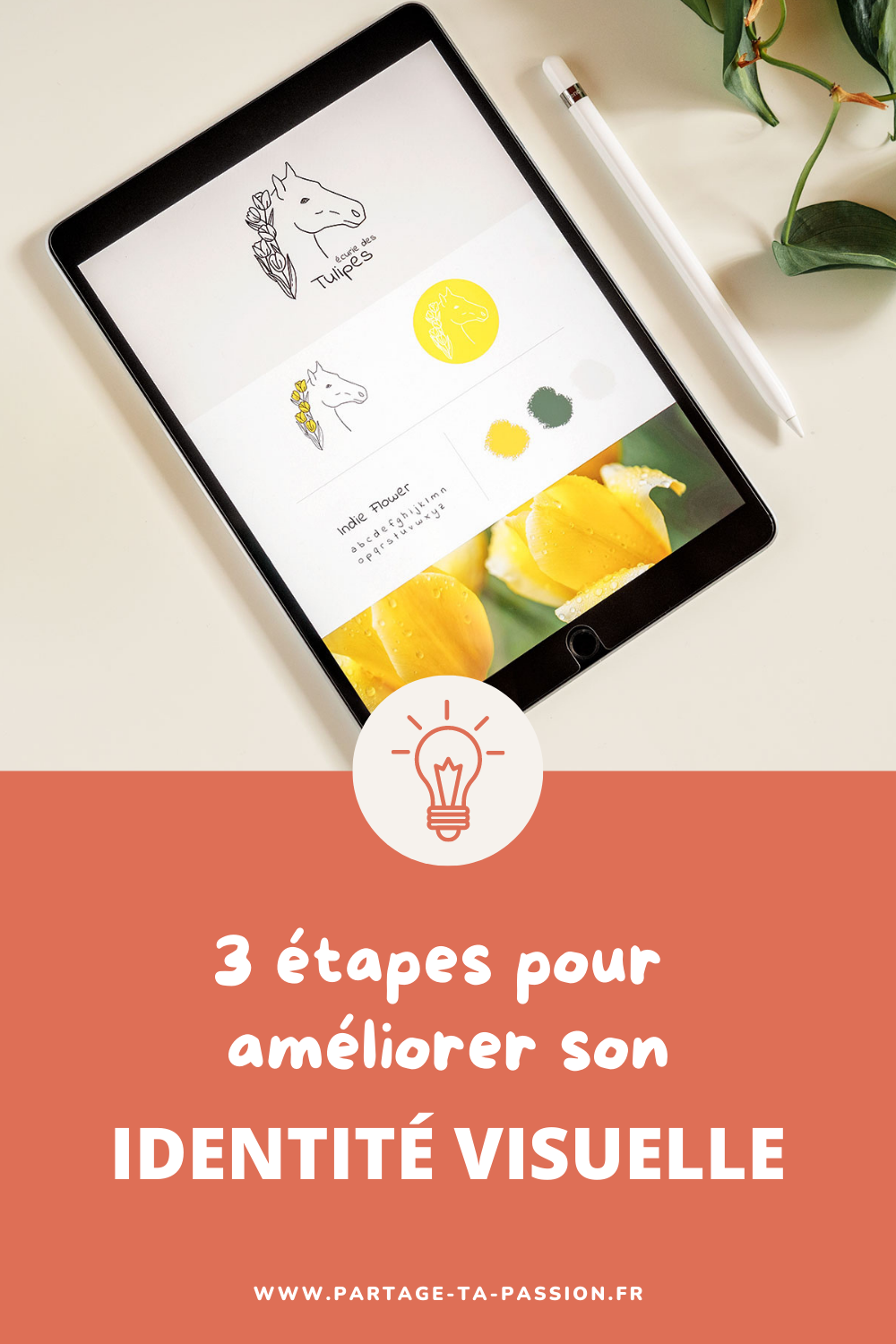 3 étapes pour améliorer son identité visuelle