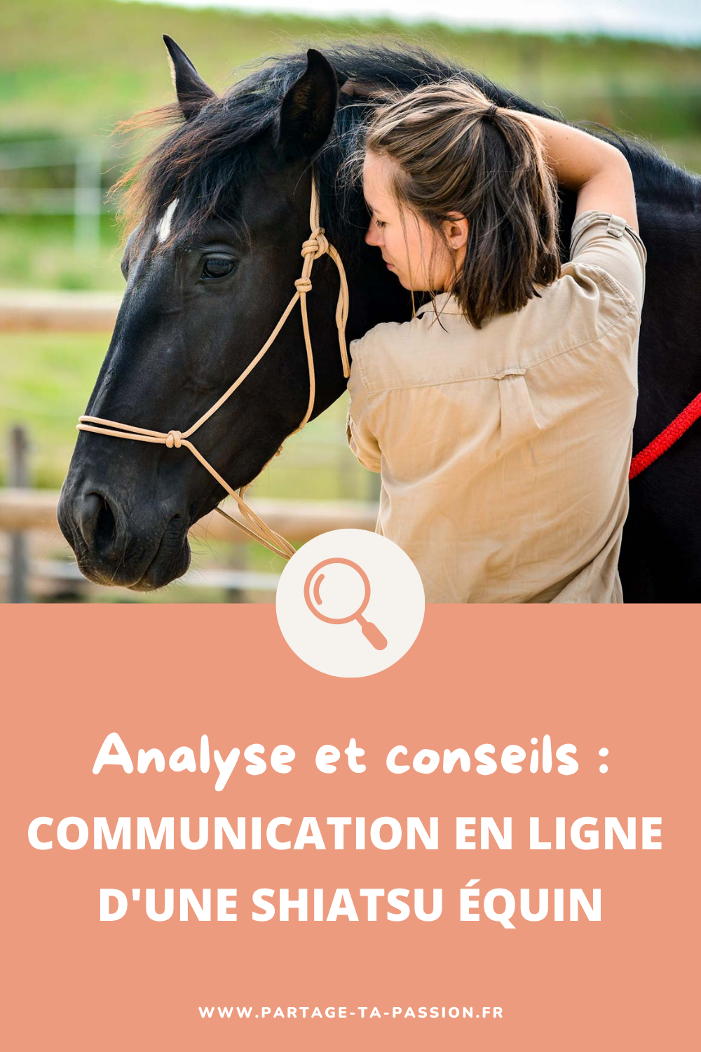 analyse et conseils sur la communication en ligne d'une shiatsu équin