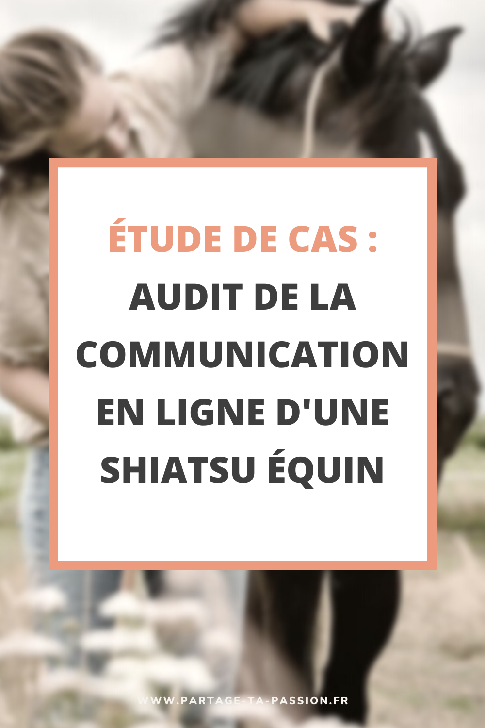 étude de cas, audit de la communication en ligne d'une shiatsu équin