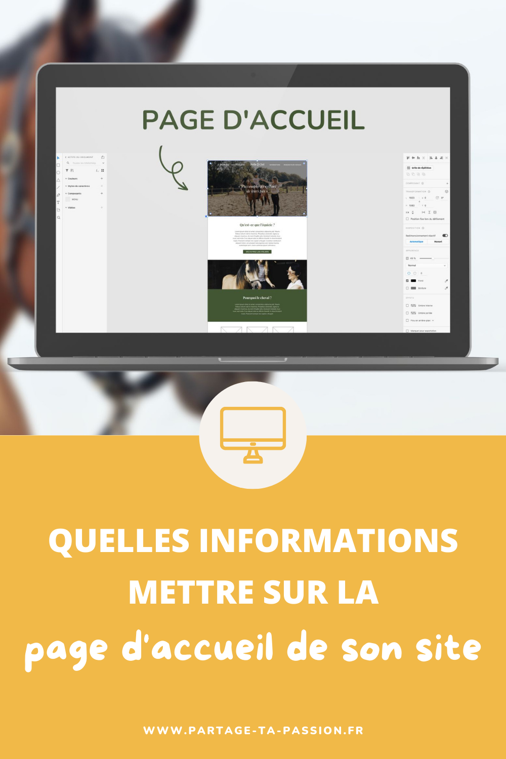 quelles informations mettre sur la page d'accueil de son site