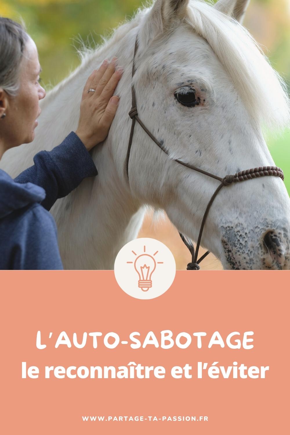 reconnaitre et eviter auto-sabotage entrepreneur équestre